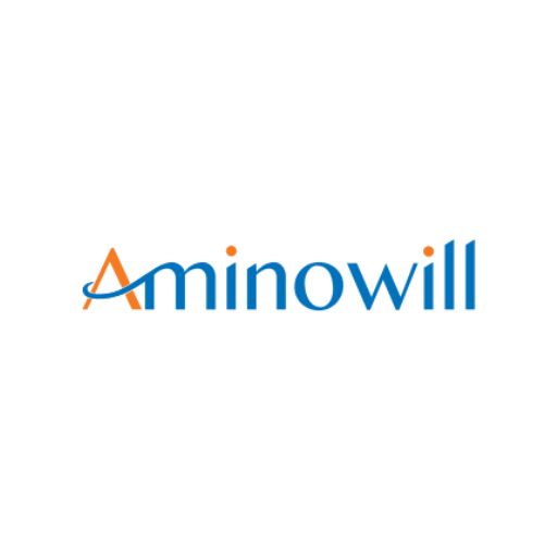 advent partner aminowill